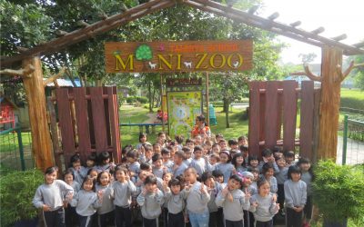 Outing KB & TK Taruna Bakti ke Mini Zoo Talenta School (6 April 2019)