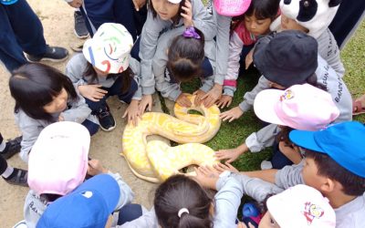 Outing KB TK Taruna Bakti ke Jendela Alam (22 Feb 2020)